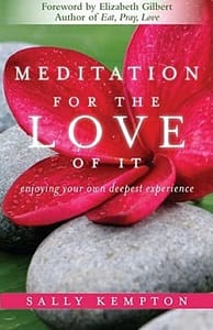 Meditation for the love of it- by Sally Kempton